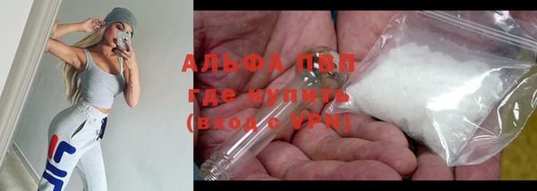 прущие грибы Горняк