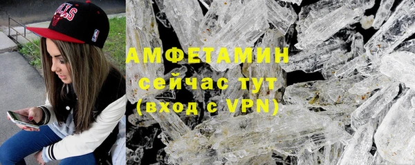 гидра Новодвинск