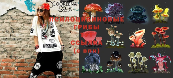 мескалин Нязепетровск