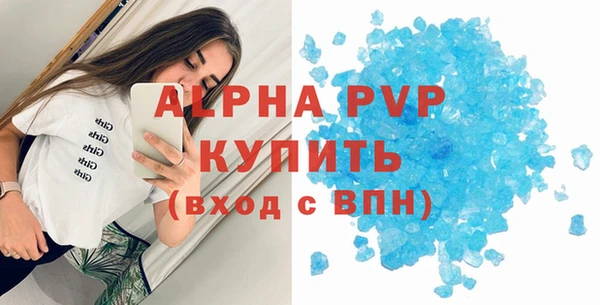 гидра Новодвинск