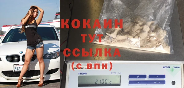 прущие грибы Горняк