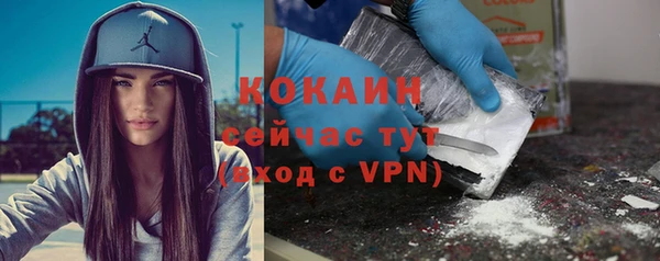гидра Новодвинск