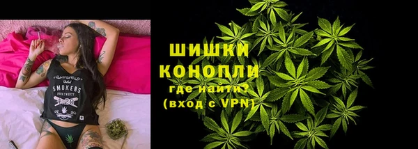 гидра Новодвинск