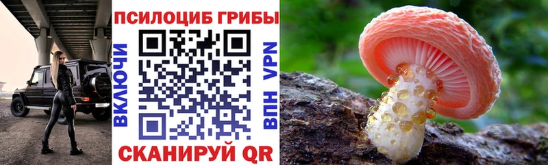 Галлюциногенные грибы прущие грибы hydra ТОР Красавино